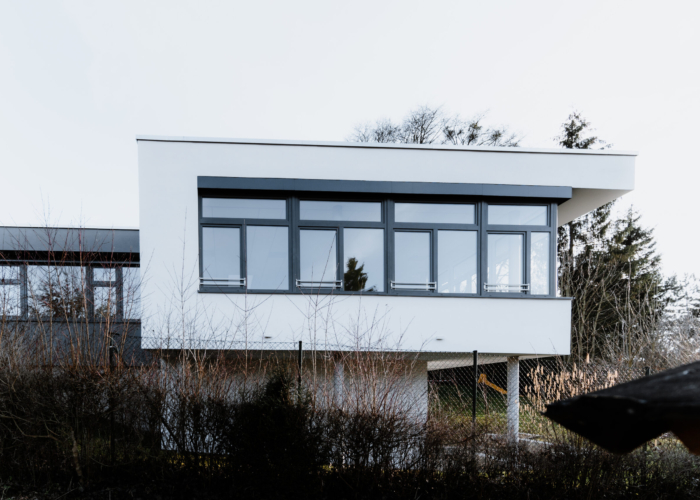 Erhardt-Rettke_Polyluchs_März(26)